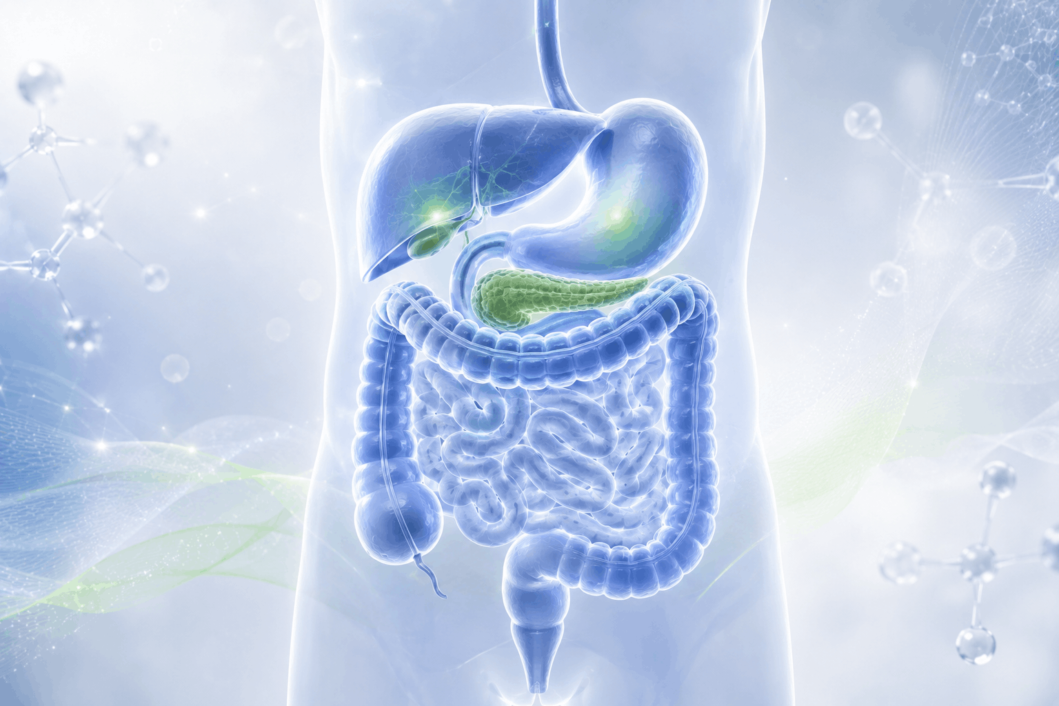 Gastroenterology